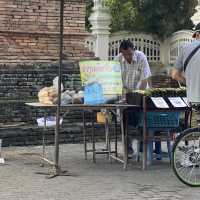 morning ANYWHEEL bike in Chiang Mai