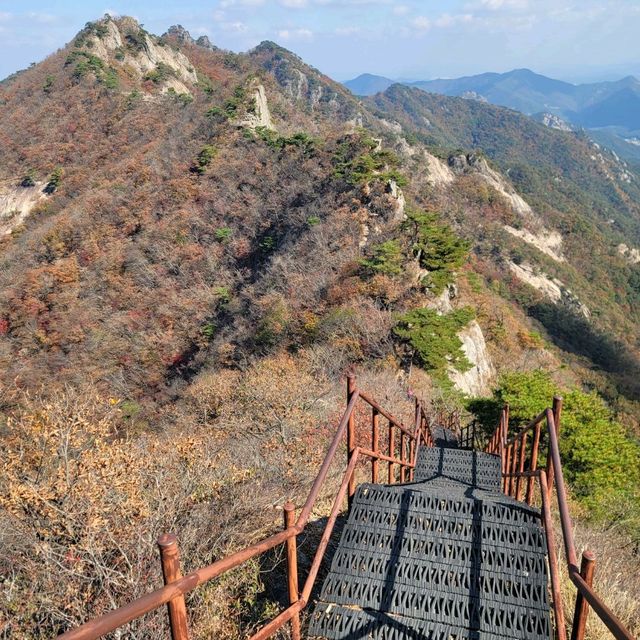계룡산 관음봉 단풍여행