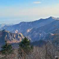 Jungcheong Shelter View