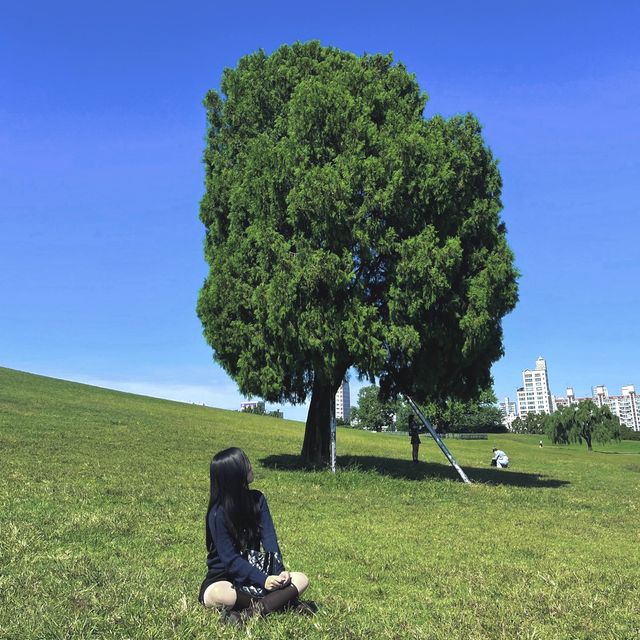 한국의 하이드파크 “올림픽공원”🌳