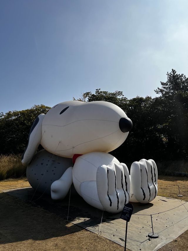 스누피의 팬이라면 방문 필수