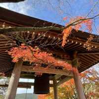 【福岡】瑜祇大宝塔の特別拝観