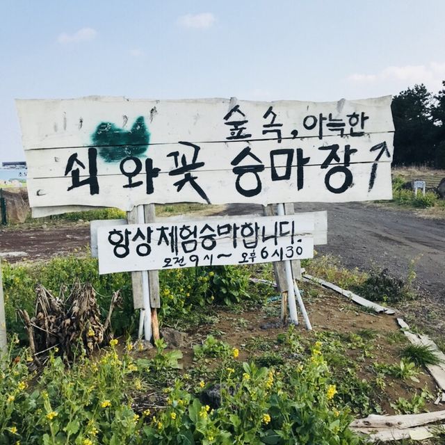 겨울 제주도 여행(사실상 먹으러 간..) 