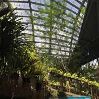 entopia penang 