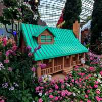 Christmas @ Flower Dome
