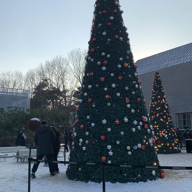 커다란 크리스마스 트리와 함께 행복한 연말을 🎄