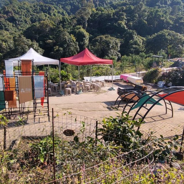 荔枝窩之文化之旅 重新認識客家村落