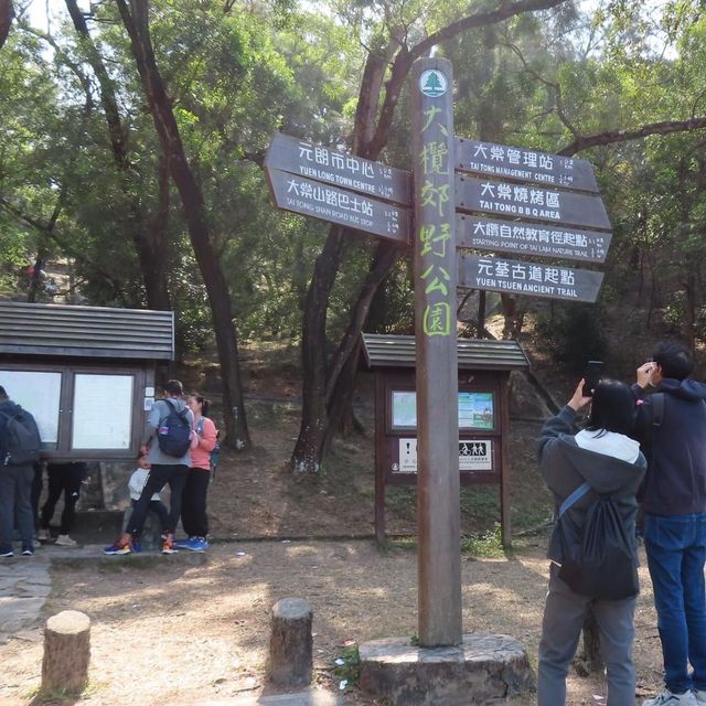 大棠自然教育徑 大棠自然教育徑