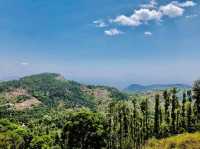 Yercaud - Hill Station in Tamil Nadu, India 