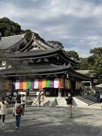 長谷寺