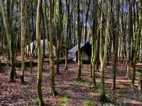 Shenlixia Scenic Area - SPRING TIME