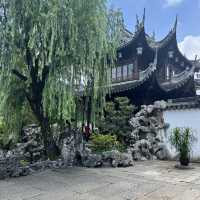 Gardens in Shanghai 