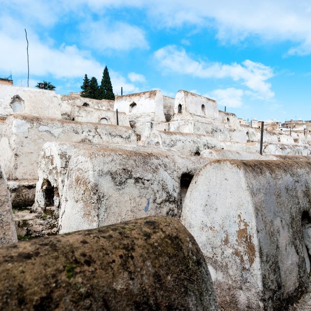 The Imperial City of Fes