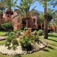 Cats club at Hotel Magic World Sharm 