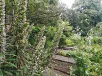 The beautiful Gardens if Brera in the heart of Milan