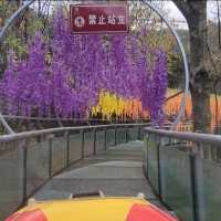 Glass Bridge & 3km Water Slide in Yiwu!😱🏞⛰