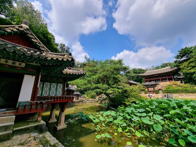 여름의 한복판:) 창경궁을 만나다 