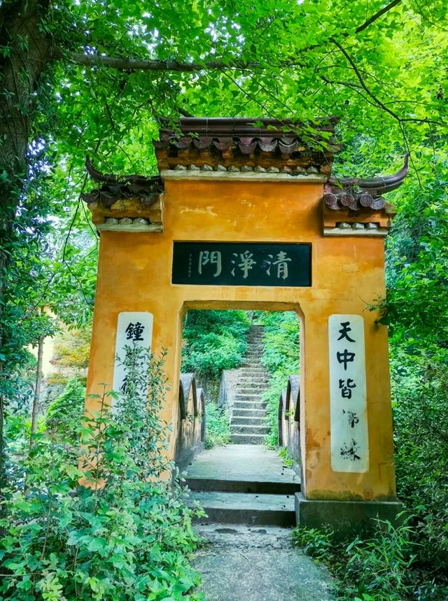 Hidden in the suburbs of Hangzhou, there is a "Little Tianzhu" that not only attracts many celebrities to check in, but also seems like a fairyland.