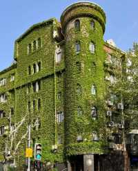 "Magic Citywalk" in Shanghai was spotted and the green house made me cry with beauty!