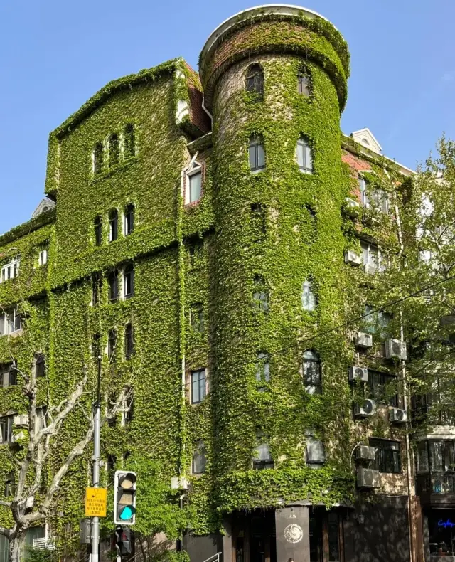 "Magic Citywalk" in Shanghai was spotted and the green house made me cry with beauty!