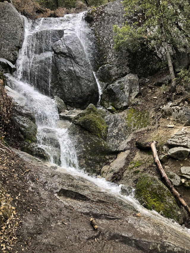 California | Yosemite National Park Photo Sharing 3