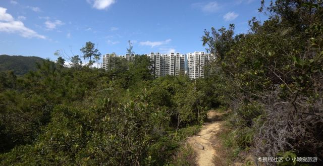 Quarry Bay beginner hiking route | Admire the clock flowers and search for strange rocks.