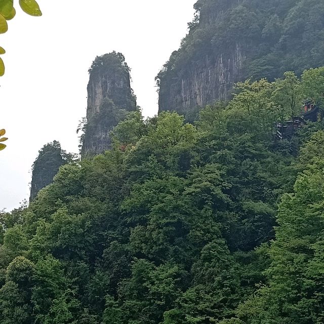 Hubei Yichang Wufeng Tujia Autonomous County Chaibuxi | Chabuxi, a picturesque canyon with three thousand peculiar peaks