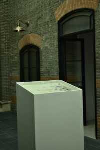 Shanghai Bund's small-scale professional free art exhibition, reservation required to limit the number of visitors.