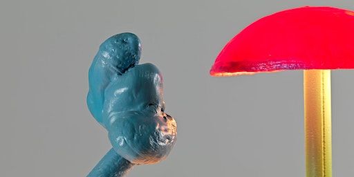 Nature Thinking with Mika Rottenberg, Stefanie Hessler & Art Switch | Hauser & Wirth