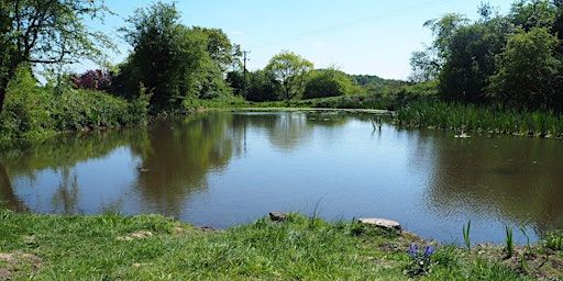 Walk 19 Our Local Nature Reserves 8 miles | The Toll House, Ironbridge