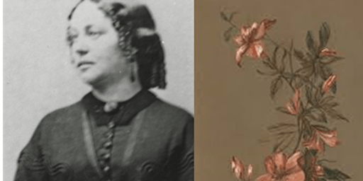 Painting a Legacy: The Search for Anna Judah | San Mateo Public Library