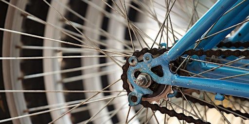 FREE Bike Maintenance Workshop - Wheels 101 | Cotton Town Bikes
