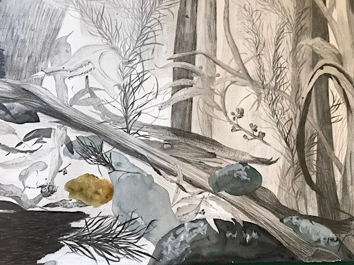 WORKSHOP: Australian Plantscapes & Responsive Drawing | Hawkesbury Regional Gallery