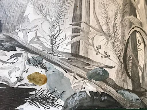 WORKSHOP: Australian Plantscapes & Responsive Drawing | Hawkesbury Regional Gallery