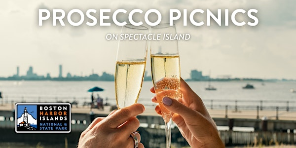 Prosecco Picnic on Spectacle Island | Spectacle Island