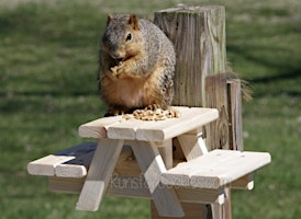 OTL Tinkering School March Break Day Camp for 9-12 yr olds:  March 19 | Ottawa Tool Library