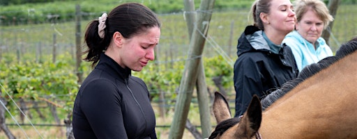 Yoga & Horse Meditation Among the Vines at The View Winery!! | The View Winery & Vineyard