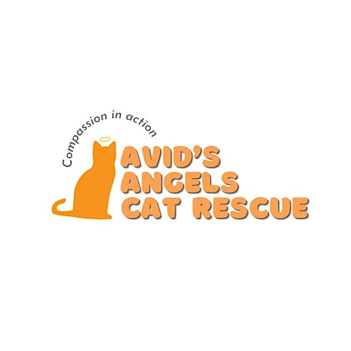 Avid's Angels Cat Rescue - Family Quiz Night | Astley Bridge Bowling Club