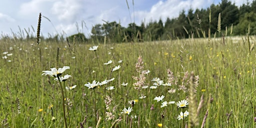 Field Identification Skills Certificate (FISC) with Serotina Ecology | Slaley Commemoration Hall