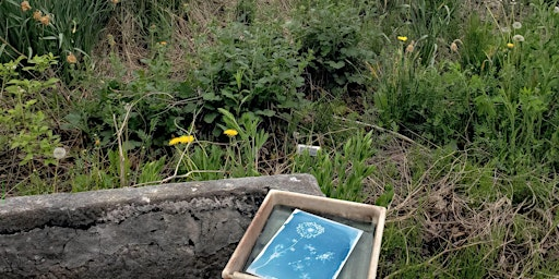 Printing with the Sun: Cyanotypes Workshop and Book Launch | Grow Food Northampton Organic Community Garden
