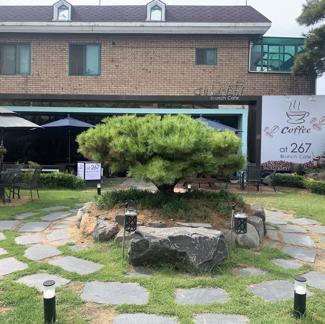 [연꽃뷰 카페, 부여 At267]