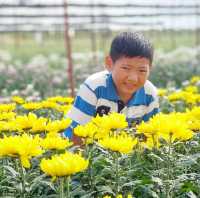 เที่ยวสวนดอกไม้​🌷🌻 