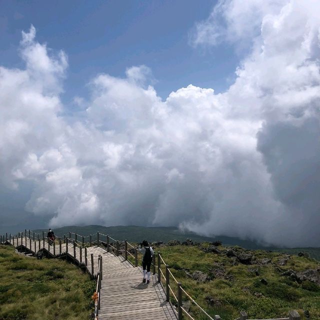 제주도 버킷리스트! 한라산 등반 완료