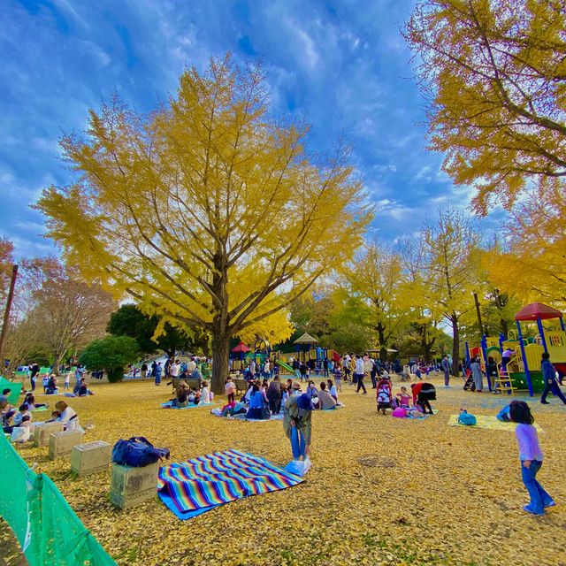 国営昭和記念公園のわんぱくゆうぐ