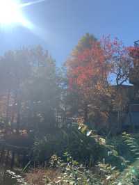 【東京都】錦糸町駅近く　大横川親水公園