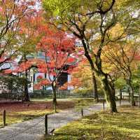 【京都】紅葉の名所　東福寺