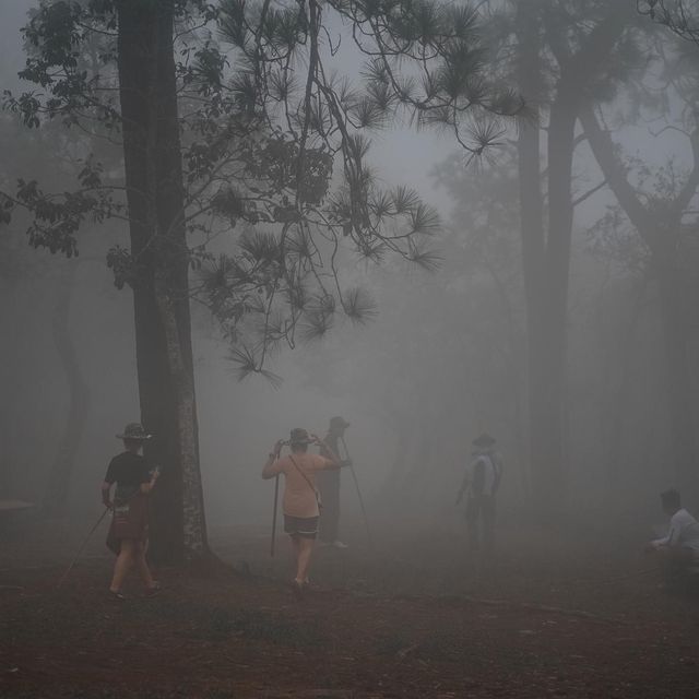🌲 ภูกระดึง ในวันที่มีพายุ 