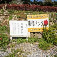【宮城島】絶景スポット果報バンナに行ってみた