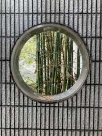 【市區散步好去處】香港公園｜欣賞小龜曬太陽。穿過大瀑布。登上鳥瞰角觀景台｜2小時散步路線