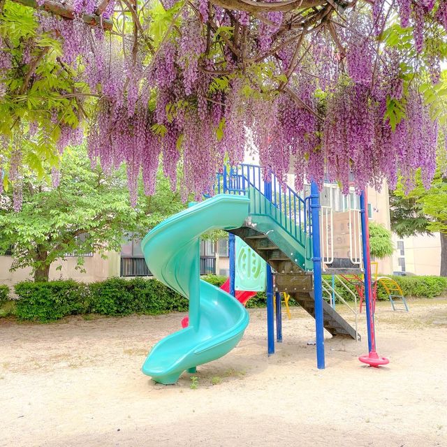 🛝내가 본 놀이터 중 1등은 여기💜
